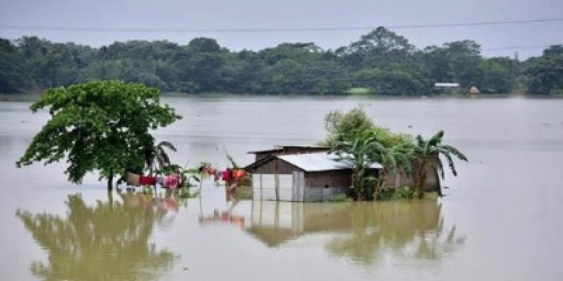 বাড়ছে নদ-নদীর পানি॥ কুড়িগ্রামের অর্ধশত চরগ্রাম প্লাবিত