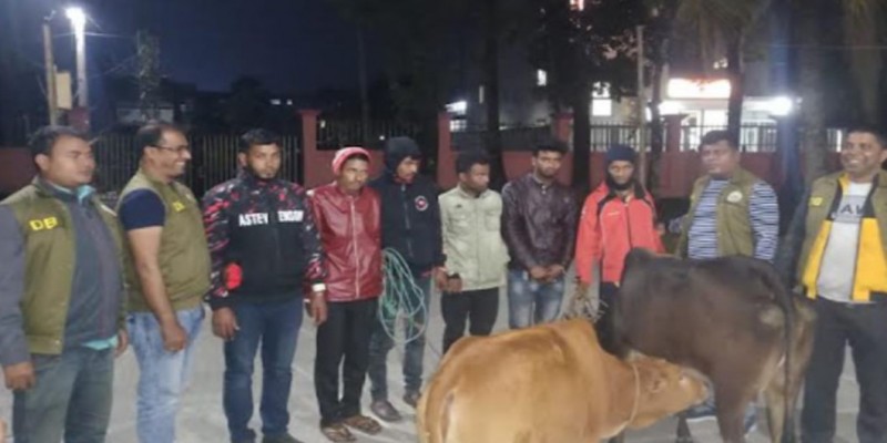 কেরানীগঞ্জে গরু চোর চক্রের ৫ সদস্য গ্রেফতার।।