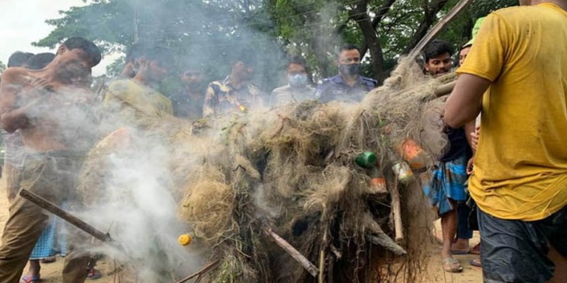 নবীনগরে ৫ হাজার মিটার কারেন্ট জাল ধ্বংস।।