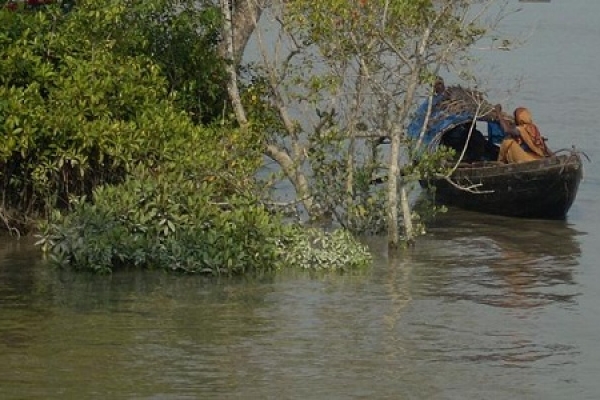 সাতক্ষীরা রেঞ্জে সুন্দরবন থেকে মুক্তিপনের দাবিতে ৮ জেলে অপহরণ।।