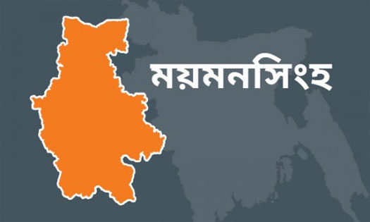 ময়মনসিংহে দুইজনকে হত্যা করে খামার থেকে ১০ টি গরু লুট
